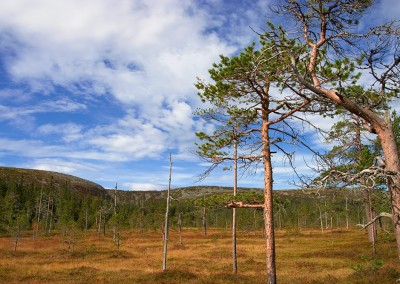 Schweden