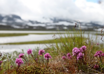 Norwegen 9