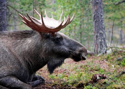 Schweden