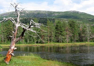 Schweden