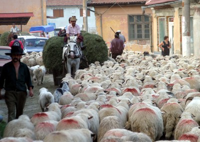 Romania