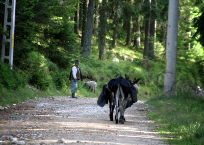 Romania