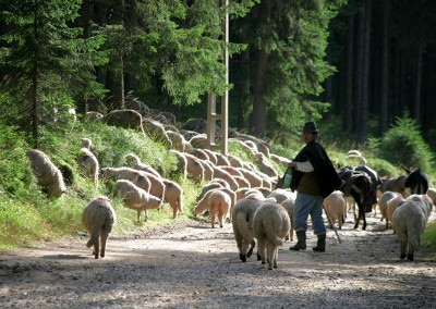 Romania