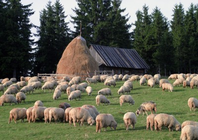 Romania