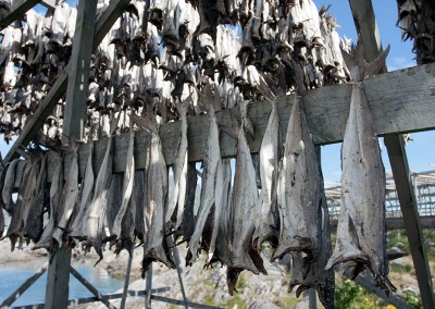 Lofoten