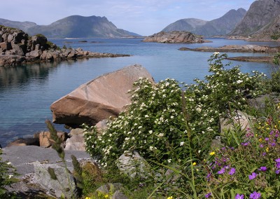Lofoten