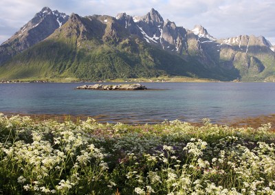 Lofoten