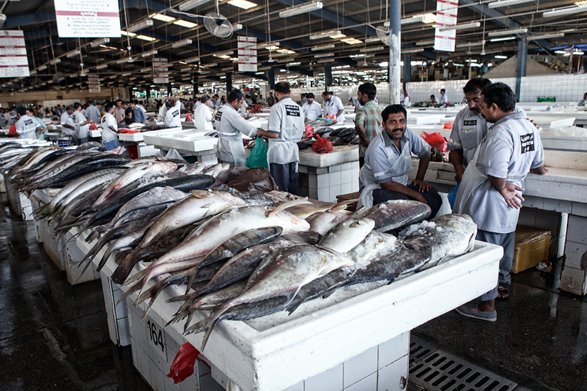 Fischmarkt in DUBAI