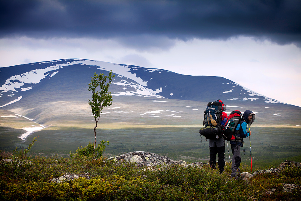 Sarek – Lockruf der Wildnis
