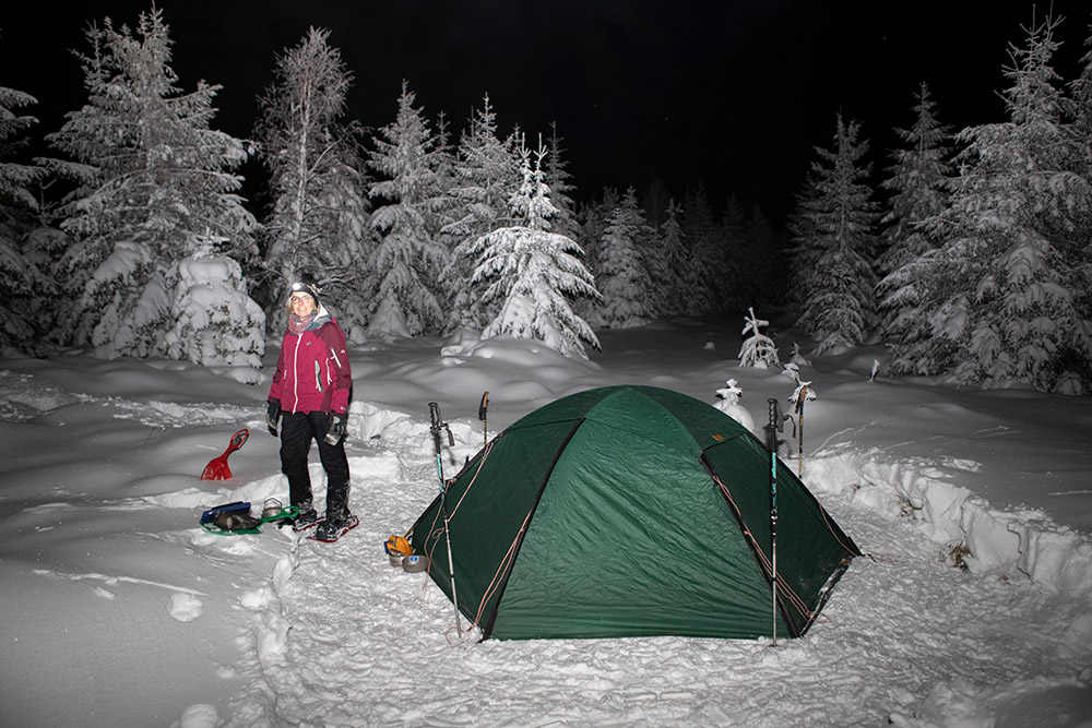 Winternacht im Schwarzwald